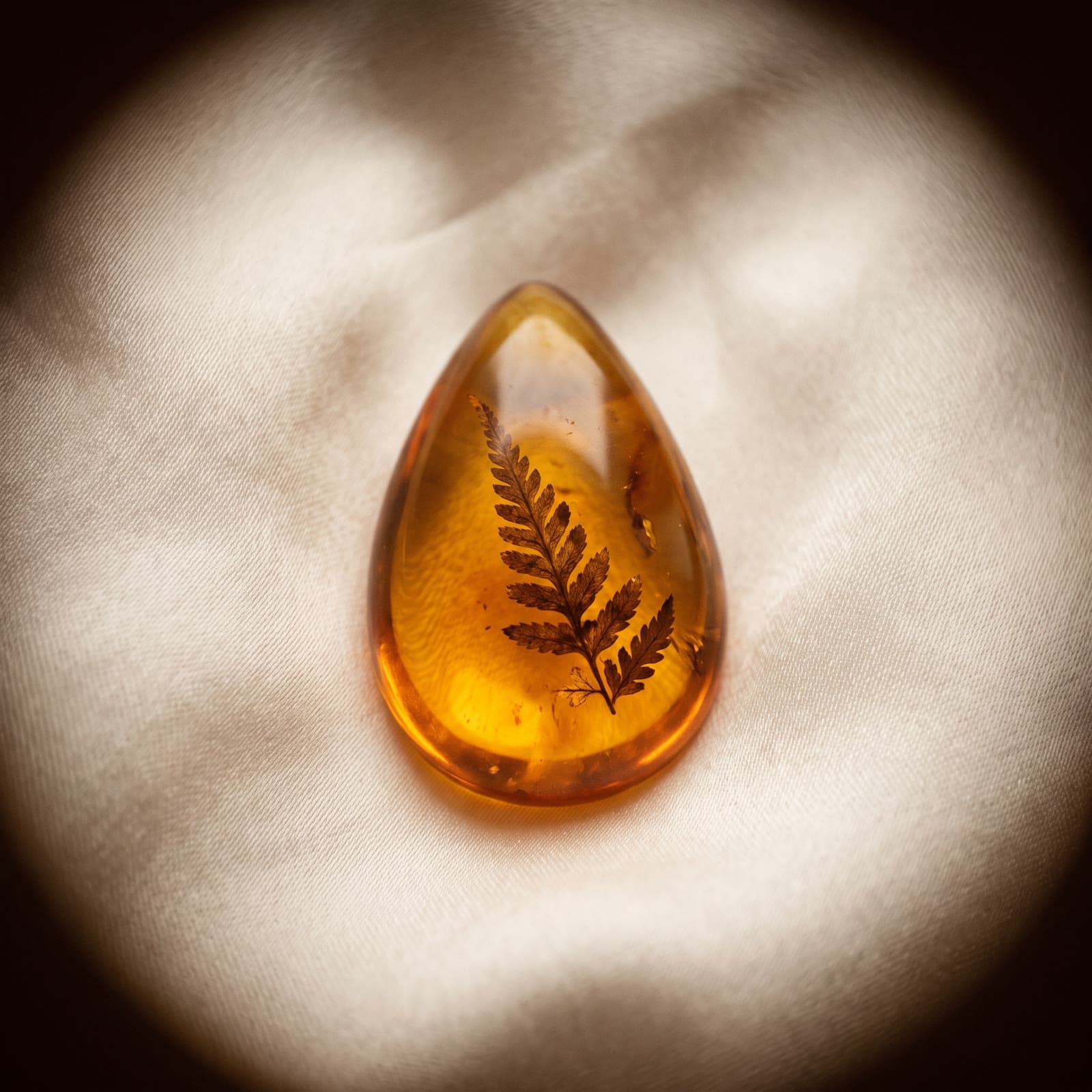 Polished Baltic amber with a preserved fern fragment inside